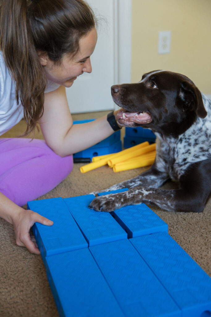 FitPaws FitKinect Dog Fitness Equipment Review + 3 K9 Fitness Exercises