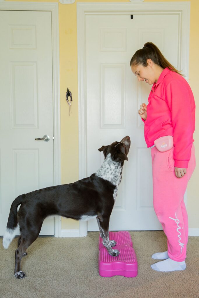Caitlin Lee training her dog, Annie