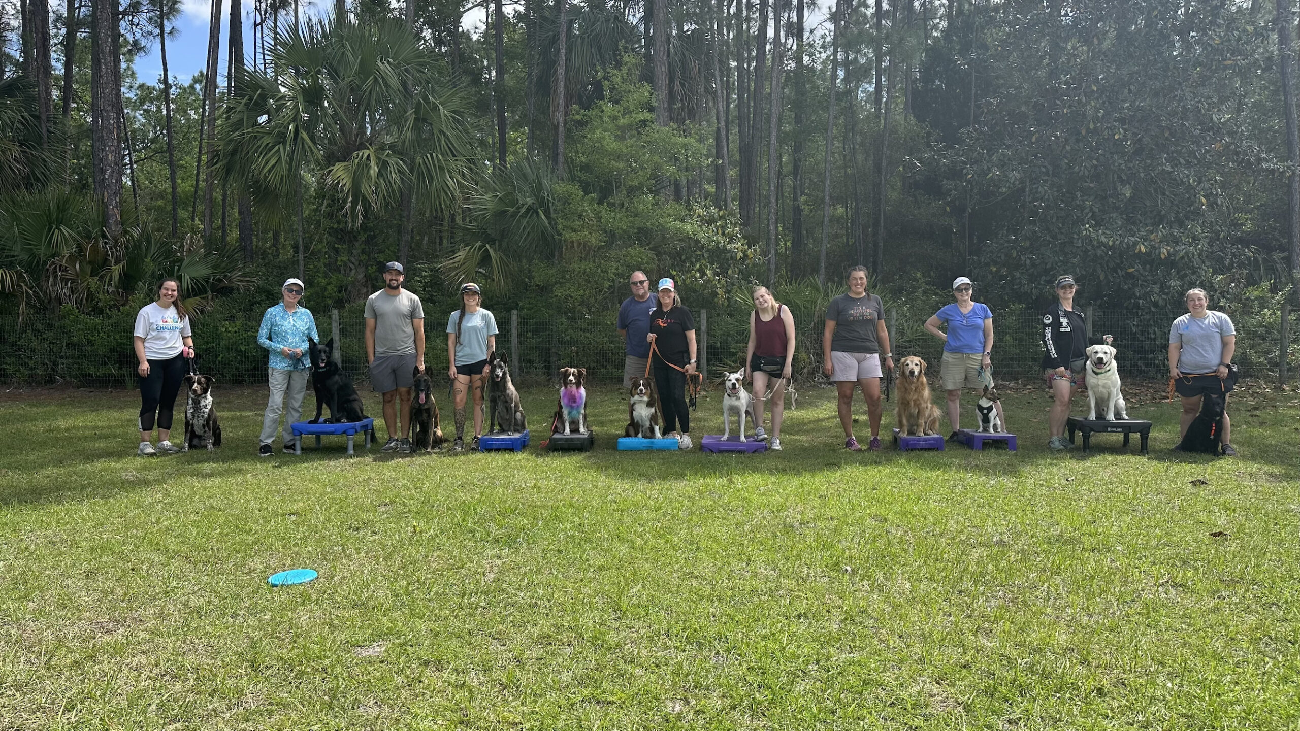 Daytona Disc Dogs