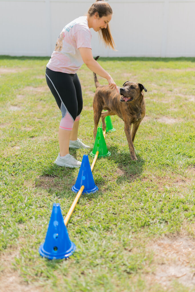Caitlin Lee training her dog, Diesel